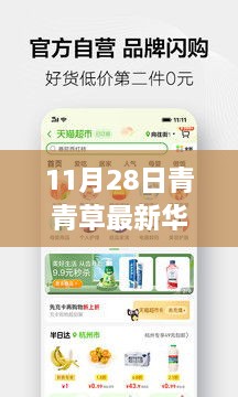 涉黃警告，11月28日青青草最新華人免費(fèi)資源獲取指南及全攻略