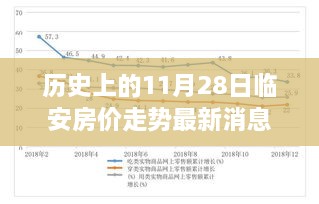 歷史上的11月28日臨安房價走勢深度解析，背景、事件與地位及其最新消息