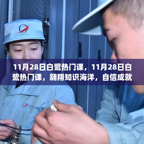 11月28日白鷺熱門課程，翱翔知識海洋，塑造自信未來夢想