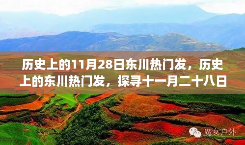 歷史上的11月28日東川熱門發(fā)，歷史上的東川熱門發(fā)，探尋十一月二十八日的輝煌印記