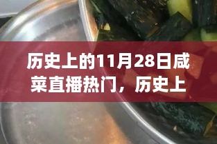 歷史上的11月28日咸菜直播熱門，歷史上的11月28日，見證咸菜直播熱門高科技產(chǎn)品的誕生與革新