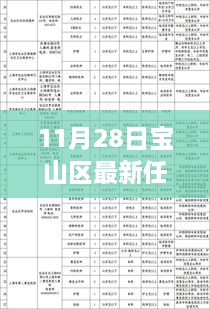 11月28日寶山區(qū)干部任免更新，流程詳解與操作指南