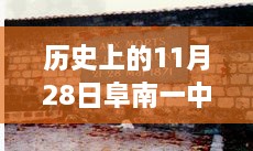 阜南一中歷史時(shí)刻下的勵(lì)志篇章，最新事件回顧與校園之光