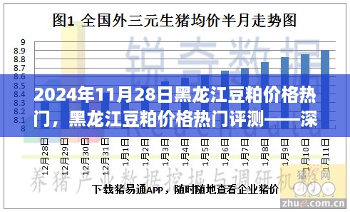 黑龍江豆粕價格熱門解析，深度剖析豆粕特性、用戶體驗與目標(biāo)用戶群體分析報告