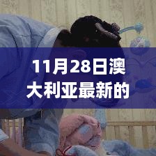 11月28日澳大利亞最新的政策，澳大利亞新政策啟航日，變化中的學(xué)習(xí)，自信與成就感的源泉