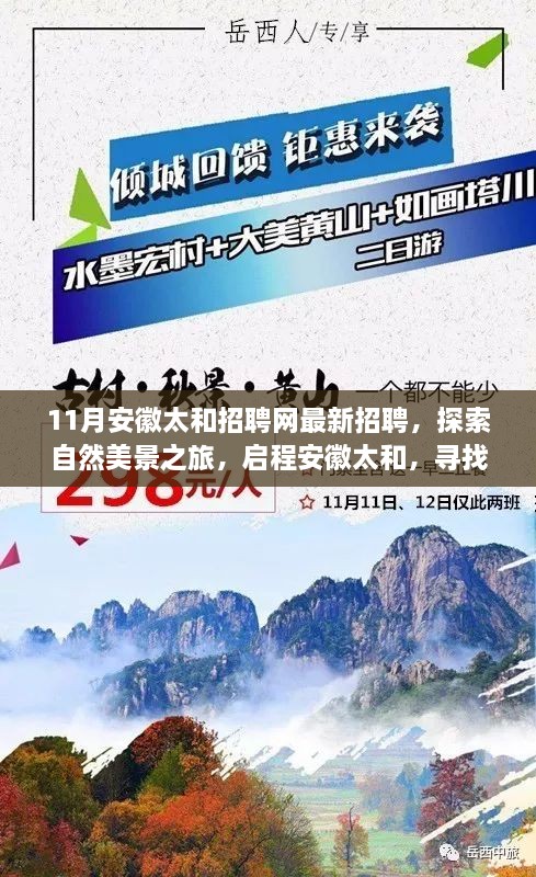 安徽太和最新招聘啟幕，探索自然美景之旅，啟程尋找內(nèi)心寧靜與和諧