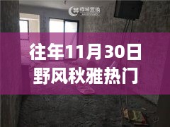 往年11月30日野風(fēng)秋雅熱門房價，野風(fēng)秋雅深處的寶藏，揭秘隱藏在小巷中的特色小店與往年熱門房價盛景