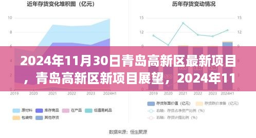 青島高新區(qū)新項(xiàng)目展望，機(jī)遇與挑戰(zhàn)并存，聚焦未來創(chuàng)新機(jī)遇（2024年11月30日）