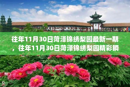 菏澤錦繡梨園，傳統(tǒng)戲曲魅力之旅的精彩瞬間探索