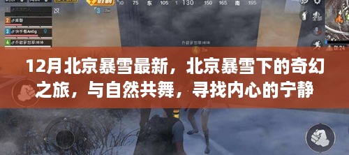 北京暴雪下的奇幻之旅，與自然共舞，探尋內(nèi)心寧靜的旅程