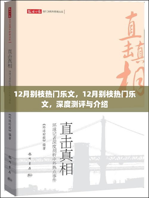 深度測評與介紹，12月別枝熱門樂文