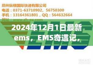 EMS奇遇記，快遞背后的溫暖故事揭秘，2024年12月最新篇章