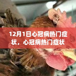 心冠病熱門癥狀深度解析，背景、事件與影響（最新更新）