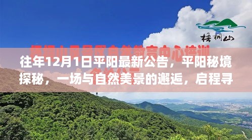 平陽秘境探秘之旅，與自然美景的邂逅，尋找寧靜之地啟程