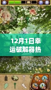 2024年12月2日 第9頁