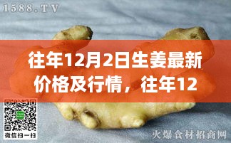 深度解析，往年12月2日生姜市場(chǎng)行情及最新價(jià)格概覽