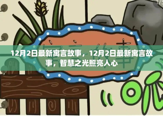 12月2日最新寓言故事，智慧之光照耀人心