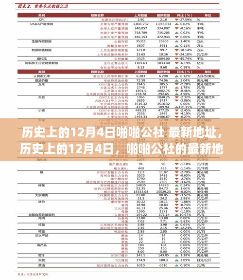 歷史上的12月4日，啪啪公社的最新地址及其背后的故事揭秘（科普文章）