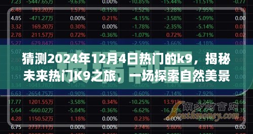 揭秘未來熱門K9之旅，啟程于2024年12月4日的自然美景探索之旅