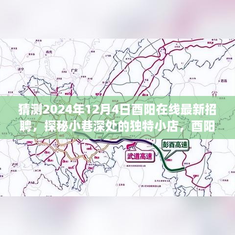 2024年12月5日 第13頁