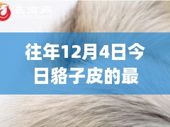 12月4日貉子皮最新價(jià)格及歷年趨勢(shì)解析，市場(chǎng)動(dòng)態(tài)一覽