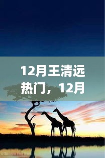 追尋自然之旅，王清遠(yuǎn)在十二月的腳步與心靈之旅