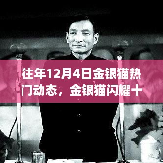 歷年金銀貓閃耀十二月，深度回顧歷年12月4日的熱門動態(tài)