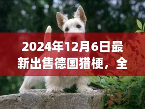 最新德國獵梗犬全面評(píng)測與出售信息，特性、競品對(duì)比及目標(biāo)用戶分析（2024年最新版）