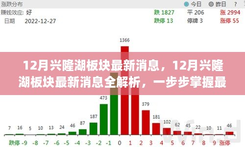 掌握興隆湖板塊最新動態(tài)，全面解析十二月最新消息