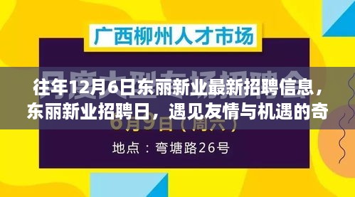 東麗新業(yè)招聘日，遇見友情與機(jī)遇的奇妙一天，最新招聘信息一網(wǎng)打盡！