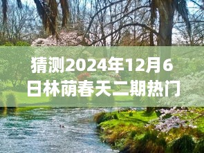 揭秘林蔭春天二期未來走向，預(yù)測熱門消息與未來展望（2024年12月6日分析）