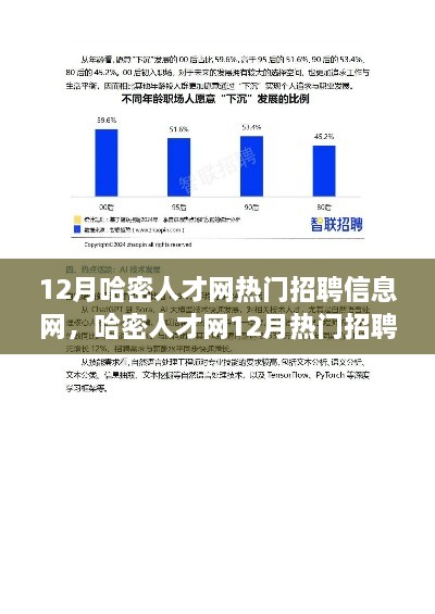 哈密人才網(wǎng)12月熱門招聘信息解讀，市場新動(dòng)向與求職策略深度探討