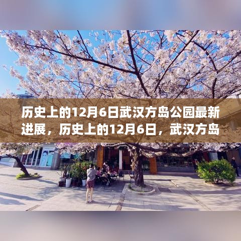 武漢方島公園最新進(jìn)展深度解析，歷史上的12月6日回顧與進(jìn)展報告