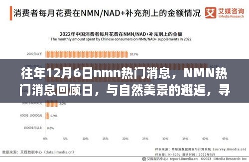 往年NMN熱門消息回顧日，與自然美景的邂逅，心靈寧靜之旅啟程