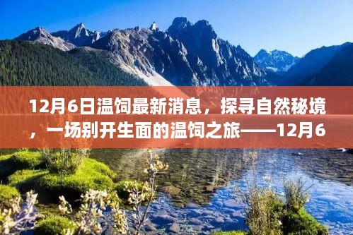 揭秘自然秘境，一場(chǎng)別開(kāi)生面的溫飼之旅最新消息（12月6日）