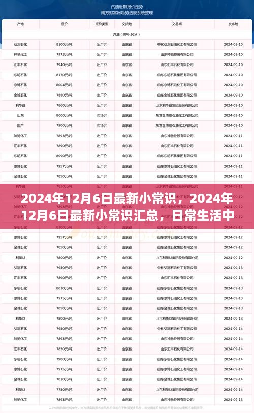 2024年12月6日最新小常識一覽，日常生活中的新奇知識匯總