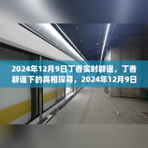 2024年視角下的丁香實時辟謠，探尋真相之旅