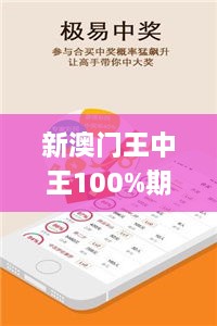 新澳門王中王100%期期中,權(quán)威分析說明_OP4.113