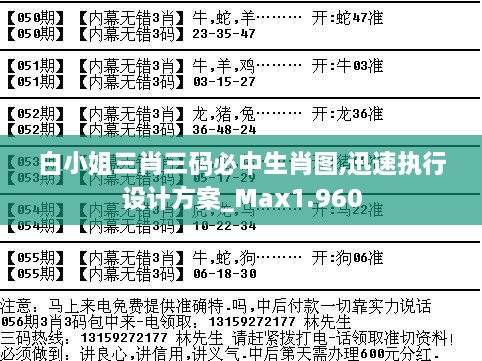 白小姐三肖三碼必中生肖圖,迅速執(zhí)行設(shè)計方案_Max1.960