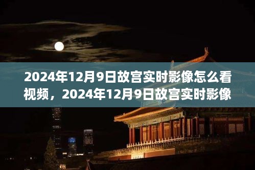 2024年12月9日故宮實時影像觀看指南，探索古都的在線之旅