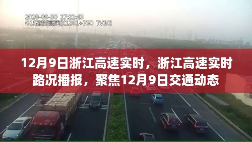 浙江高速實時路況播報，聚焦12月9日交通動態(tài)