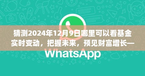 見證未來財富增長，把握基金實時變動之旅，2024年12月9日揭曉！