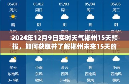 初學(xué)者指南，如何獲取并了解郴州未來15天的實時天氣預(yù)報——2024年12月9日及未來天氣速覽