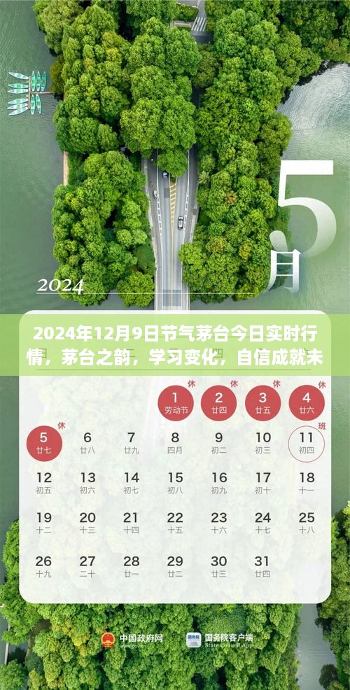 茅臺之韻，2024年12月9日實時行情啟示錄，洞悉變化，自信筑夢未來