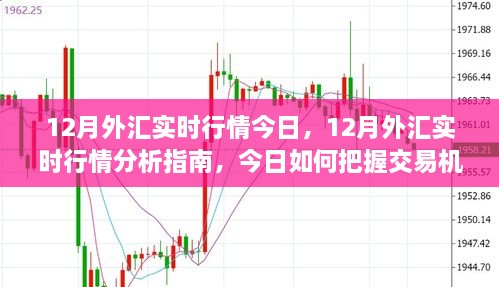 12月外匯實(shí)時行情解析，把握今日交易機(jī)遇的指南