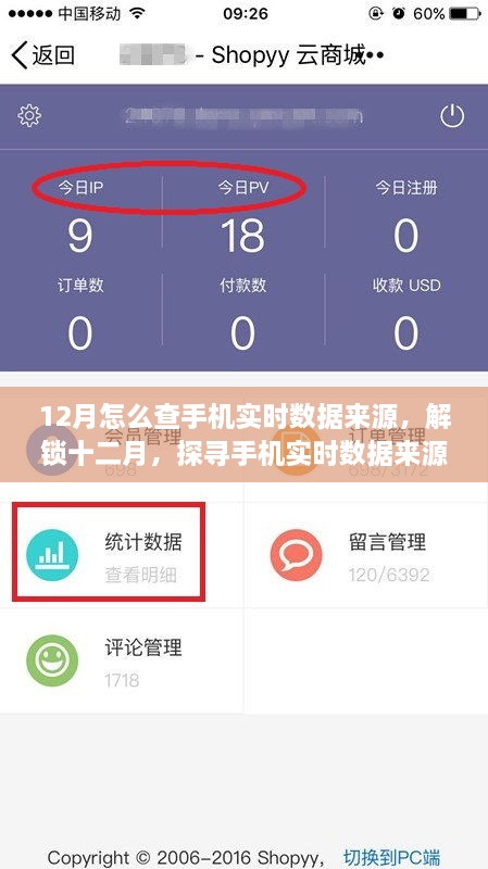 探尋手機(jī)實(shí)時(shí)數(shù)據(jù)來(lái)源的奧秘，十二月開(kāi)啟自信與成就之旅的指南
