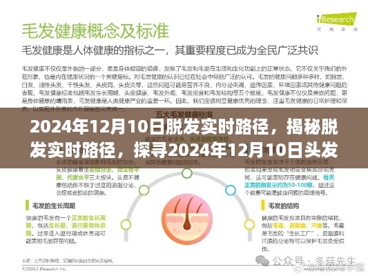 揭秘脫發(fā)實時路徑，探尋頭發(fā)健康之旅在2024年12月10日的進展與啟示