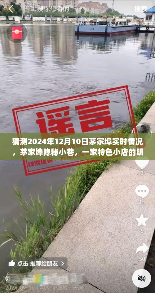 茅家埠隱秘小巷特色小店，明日探秘之旅揭秘2024年12月10日實(shí)時(shí)情況