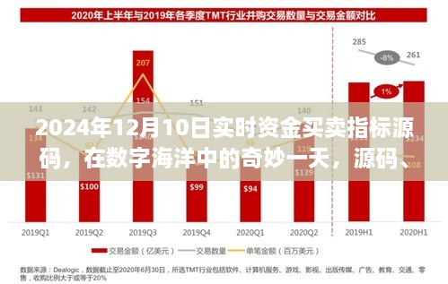 數(shù)字海洋中的奇妙一天，源碼揭秘與資金買賣指標(biāo)之旅