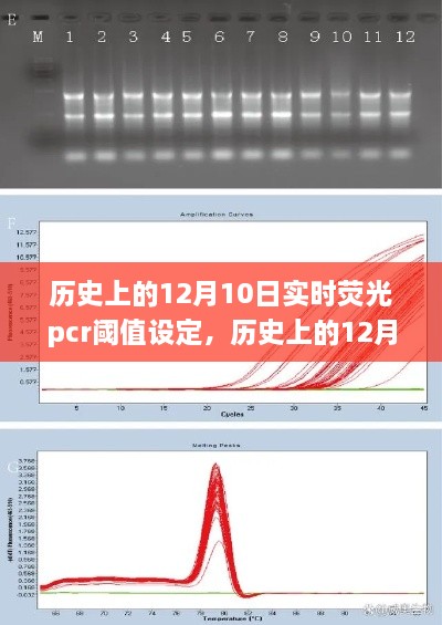 歷史上的12月10日，實時熒光PCR閾值設(shè)定的探索之旅